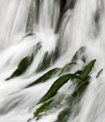 TOKHydro1