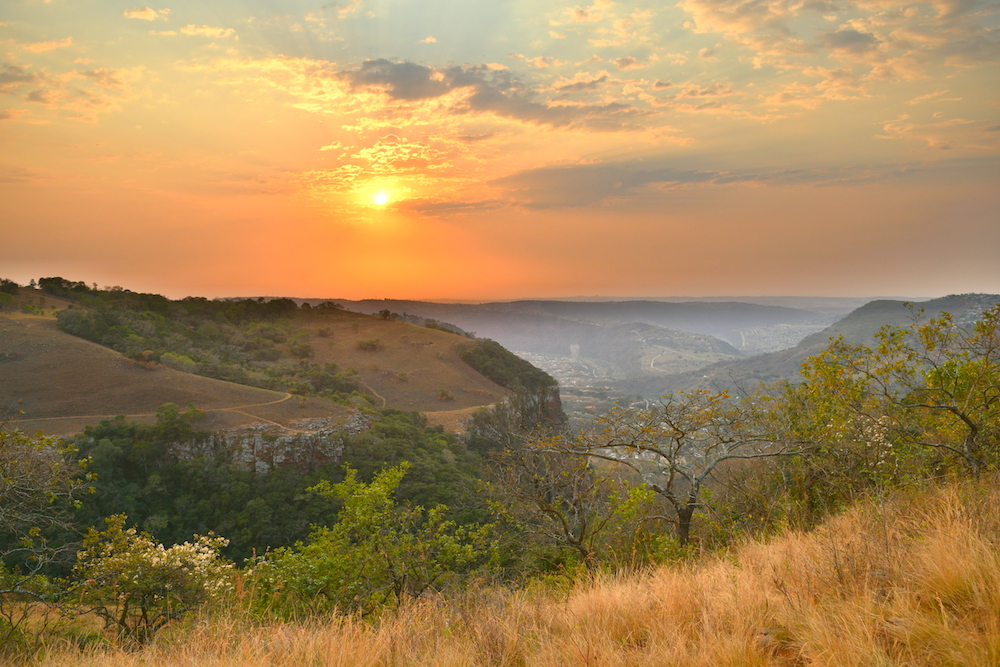Krantzkloof Nature Reserve