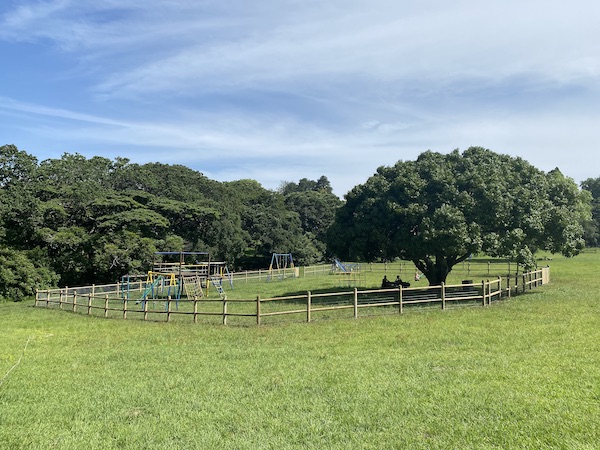 New fencing installed around the playground during a major upgrade of Memorial Park as a co-operative effort between the eThekwini Parks Department and Kloof Conservancy in 2020.