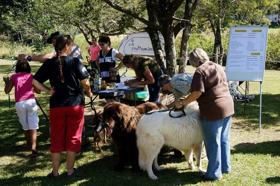 Back to Nature Happy Hounds Day 2014